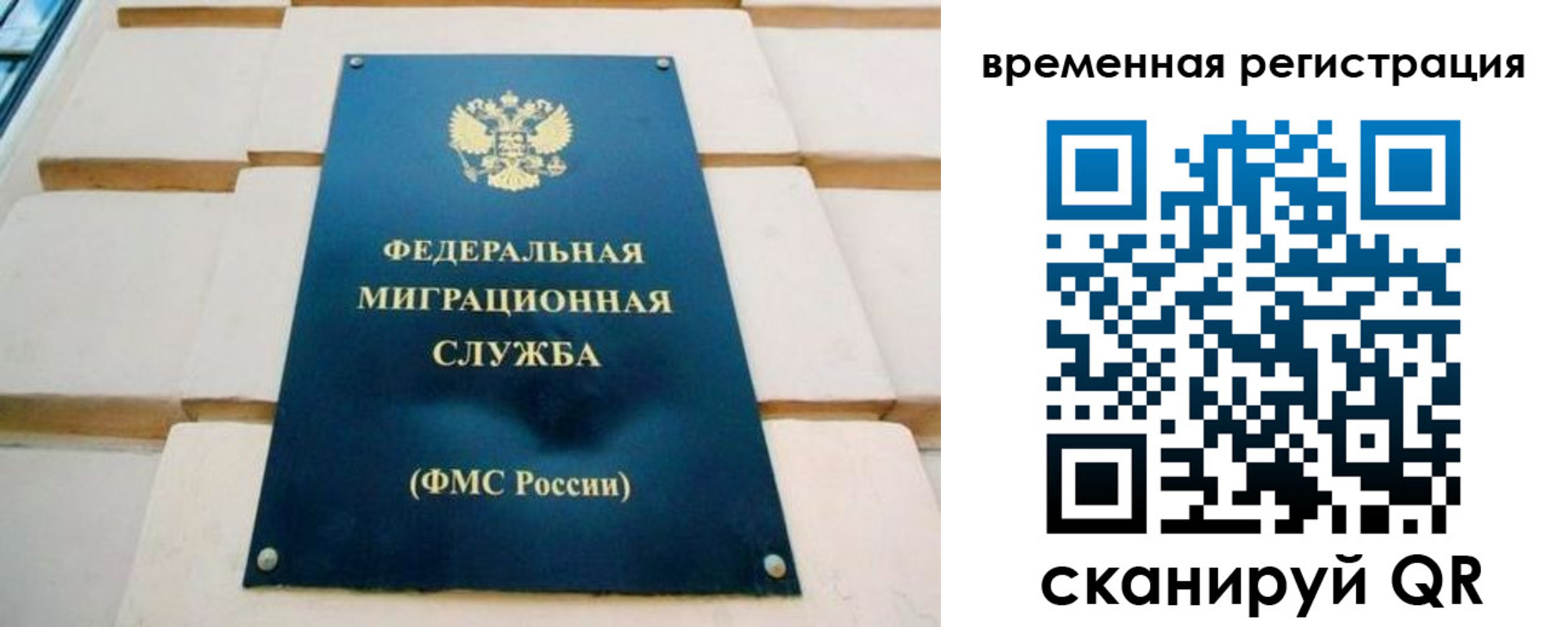 прописка гарантия в Жигулёвске